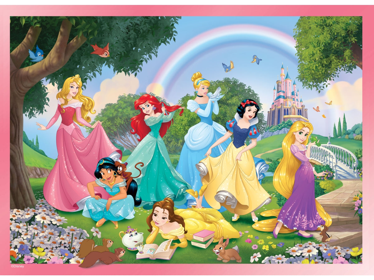 Disney puzzle df maxi floor 24 princess