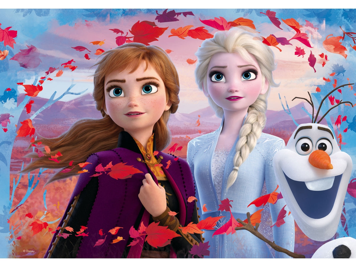 Disney puzzle df maxi floor 60 frozen 2