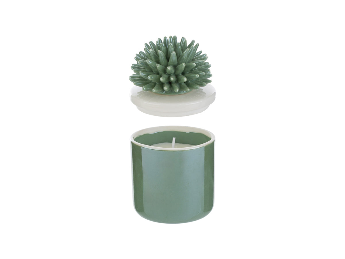Candela scatola corallo porcellana verde 7,5x7,5xh.11,5cm con astuccio