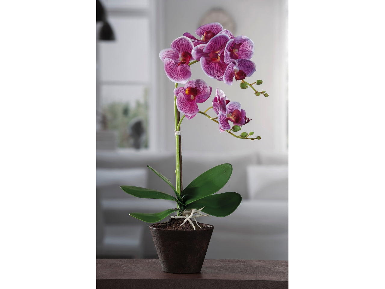 Orchidea in vaso 14xh.46cm