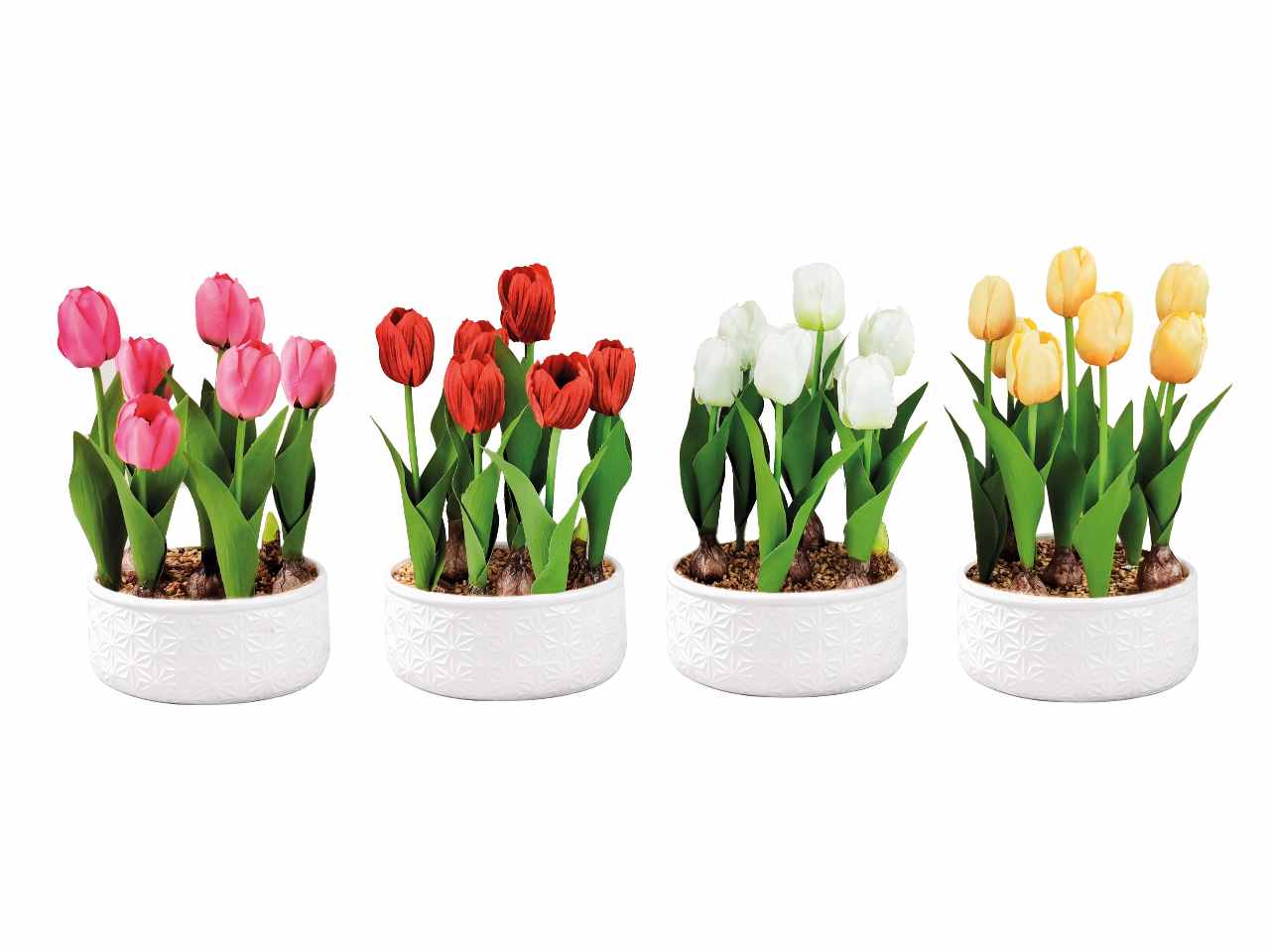 Vaso c/tulipani d.19xh32cm 74878