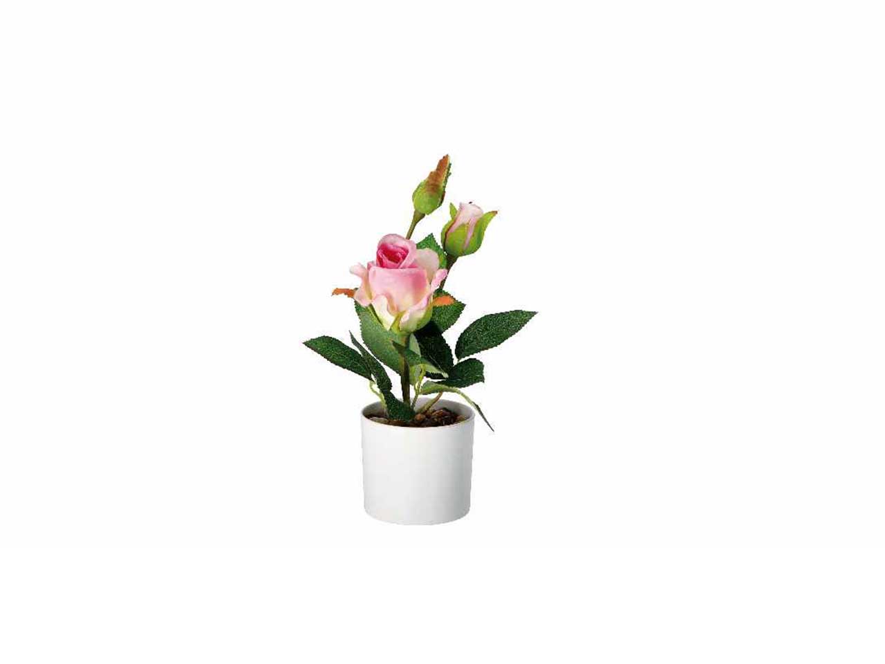Vaso c/rose d.8,5xh28cm 74882