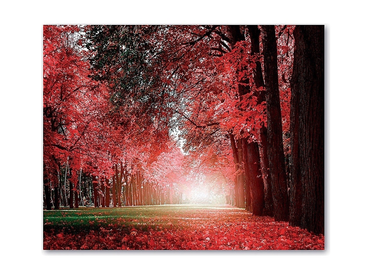 Quadro oleografico su tela foresta multicolor 50x40 cm â Ad Trend