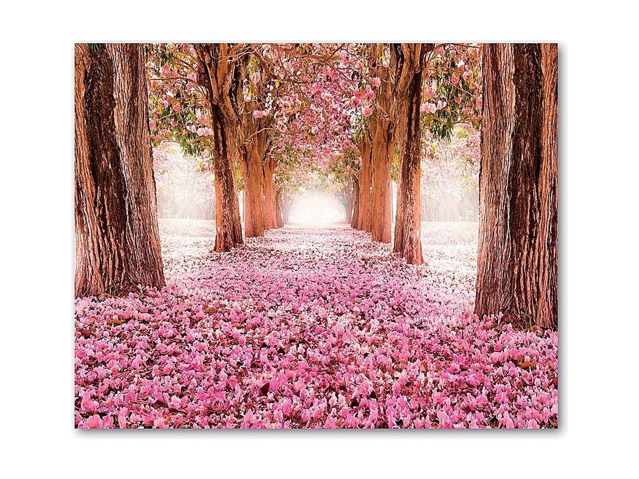 Quadro oleografico su tela foresta multicolor 50x40 cm â Ad Trend