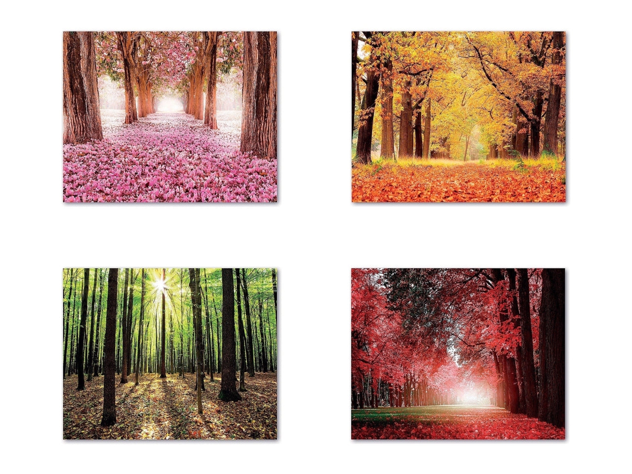 Quadro oleografico su tela foresta multicolor 50x40 cm â Ad Trend