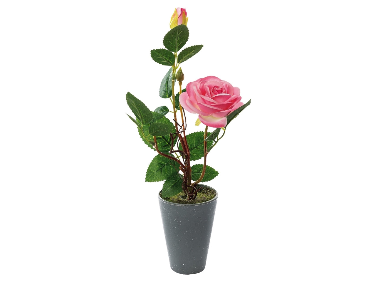 Vaso con rosa 2 boccioli d.8xh.34cm in 4 colori assortiti$