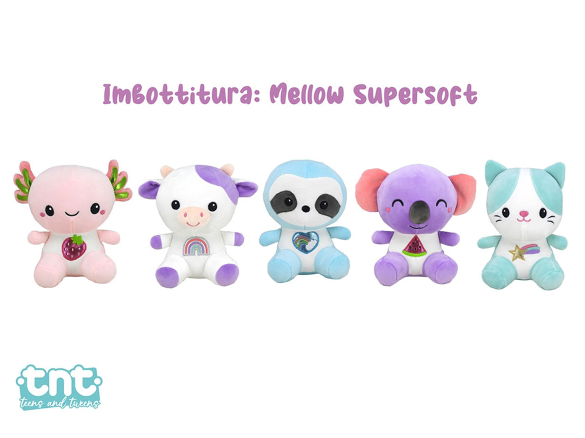 Tnt kawaii friends