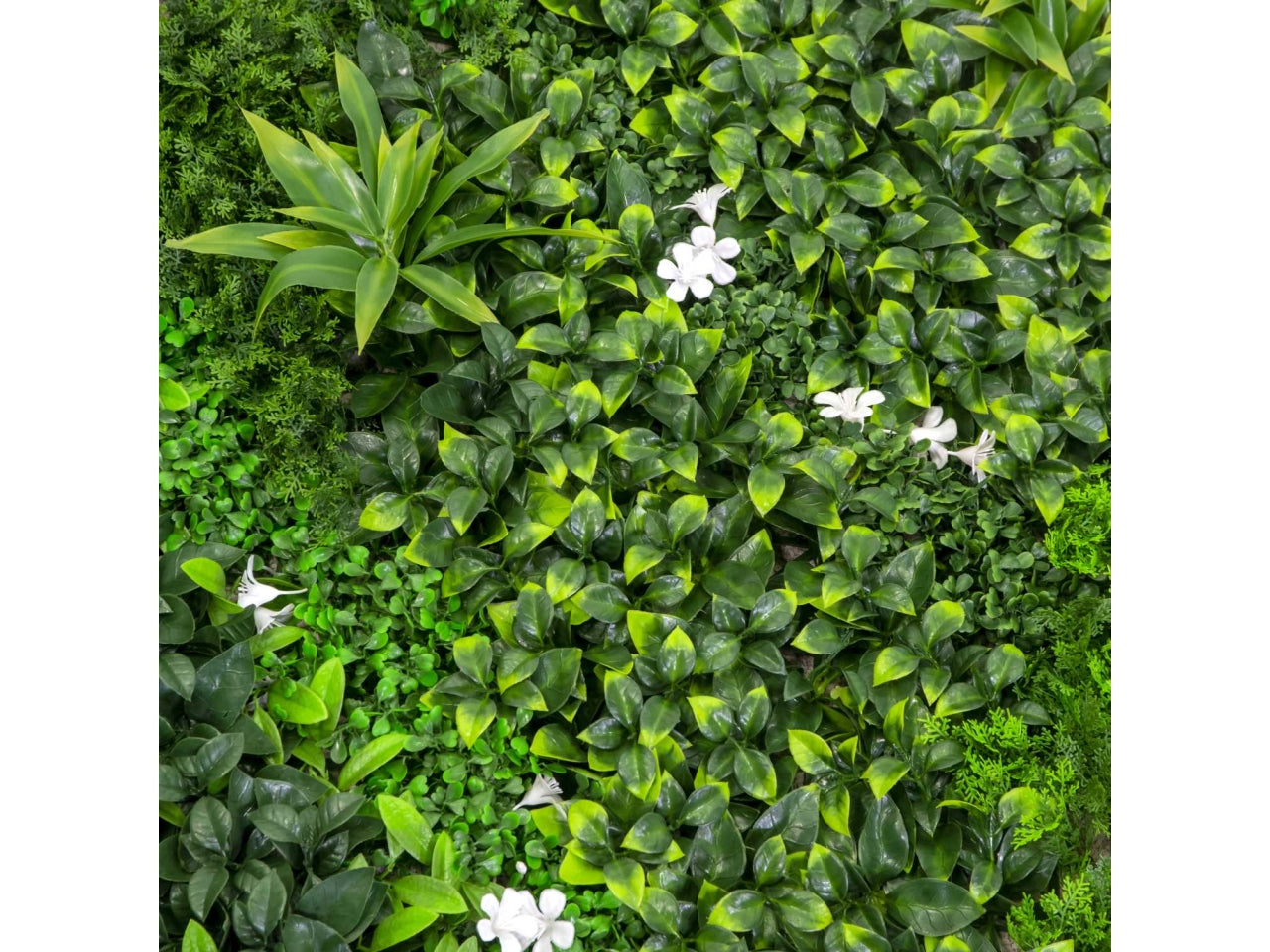 Pannello lichene artficiale decorazione da parete tropicale verde, effetto naturale, facile applicazione - 100x100cm - Vacchetti
