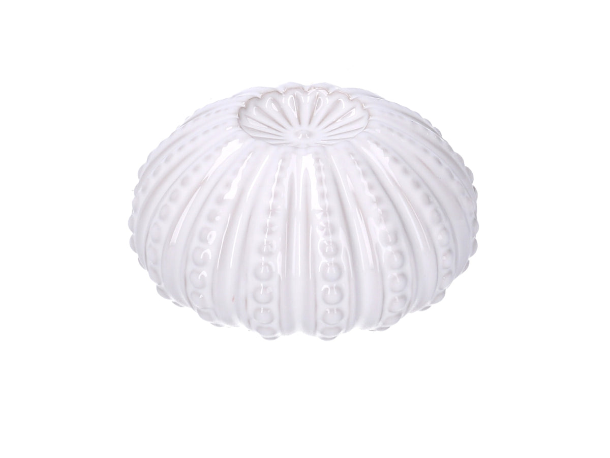 Riccio di mare ceramica bianco tondo d.10,3xh5,4cm