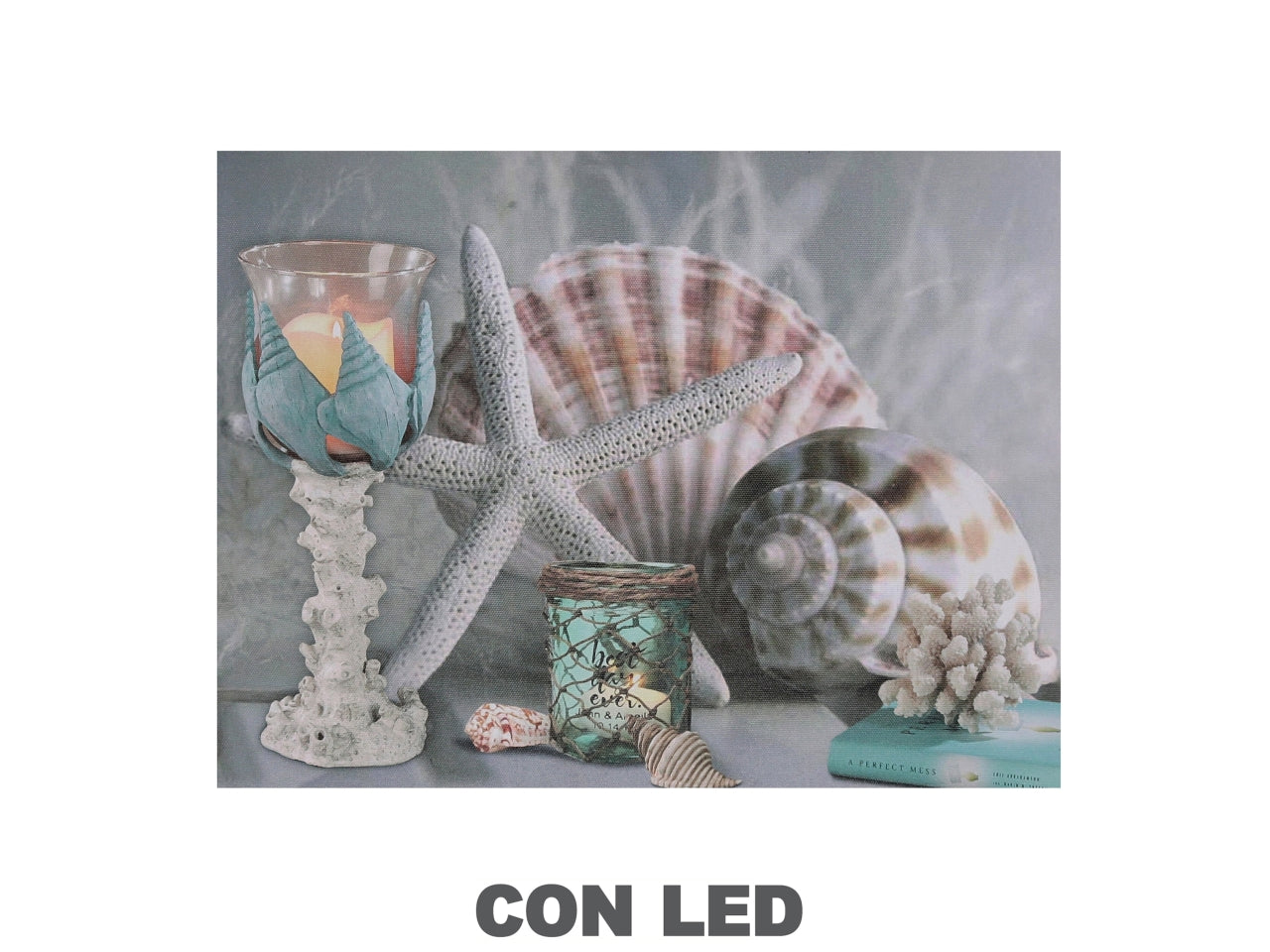 Quadro mare led conchiglie 40x2,3x30cm