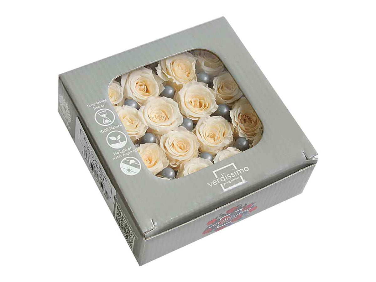 Rosa stabilizzata colore champagne d.2,5cm - La confezione comprende 16 rose