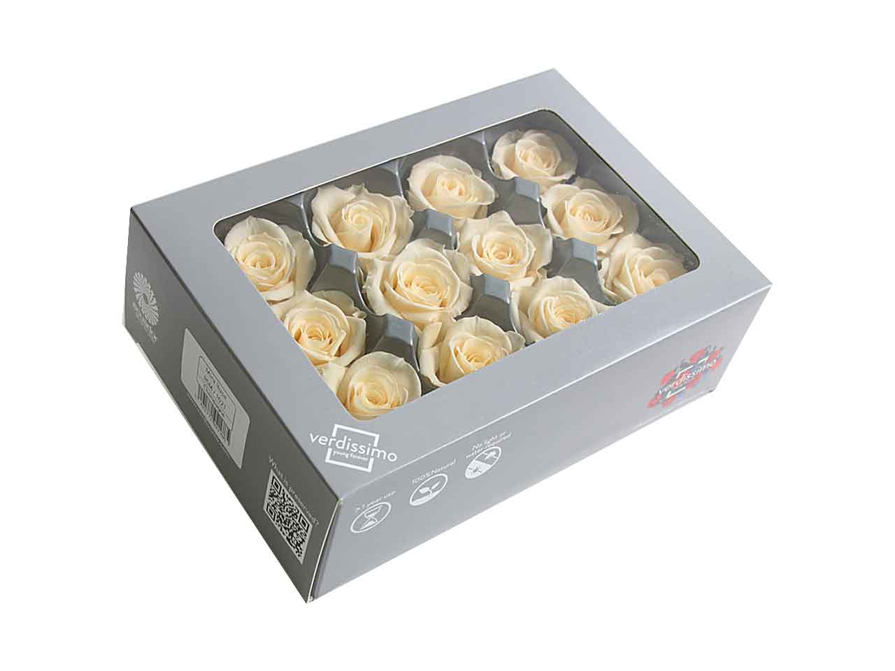 Rosa stabilizzata colore champagne misura d.4cm - la confezione comprende 12 rose