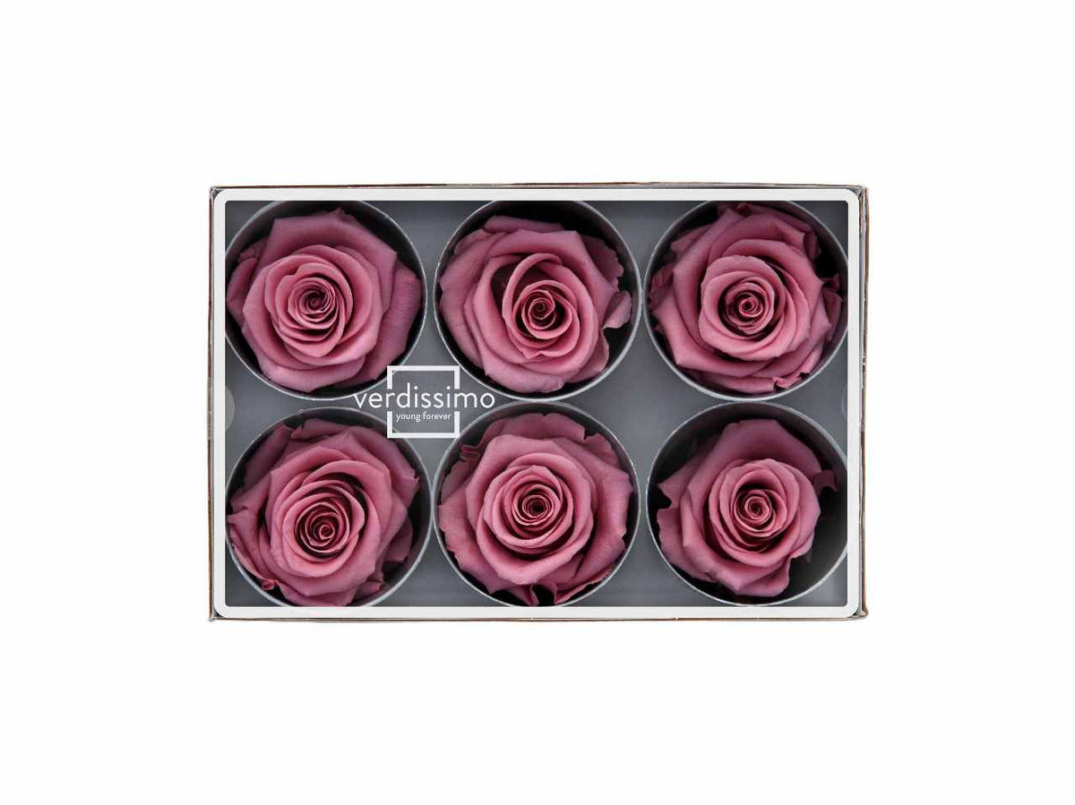 Rosa stabilizzata cherry misura d.5cm - La confezione comprende 6 rose