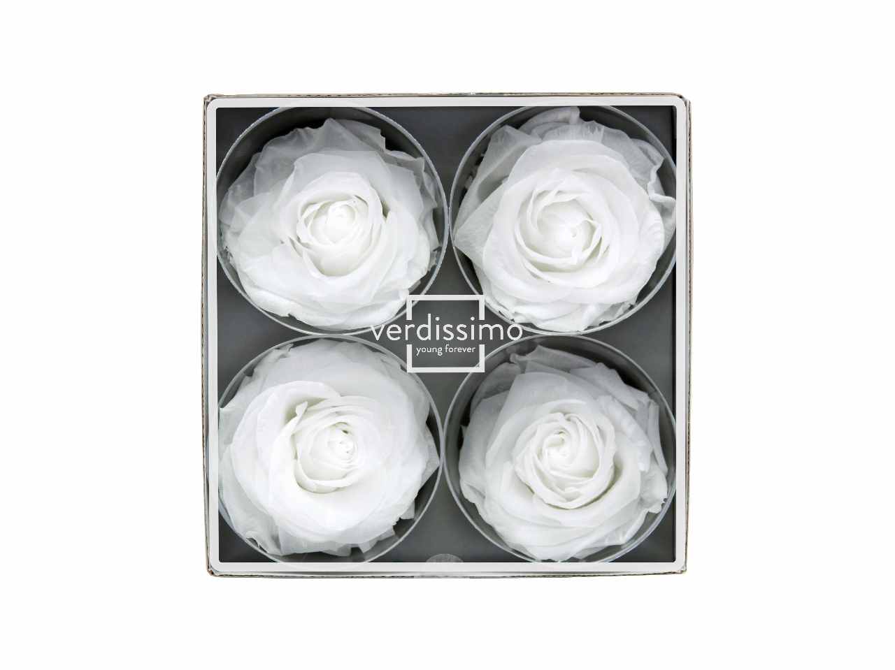 Rosa stabilizzata colore bianco misura h.8xd.8,5cm - La confezione comprende 4 rose