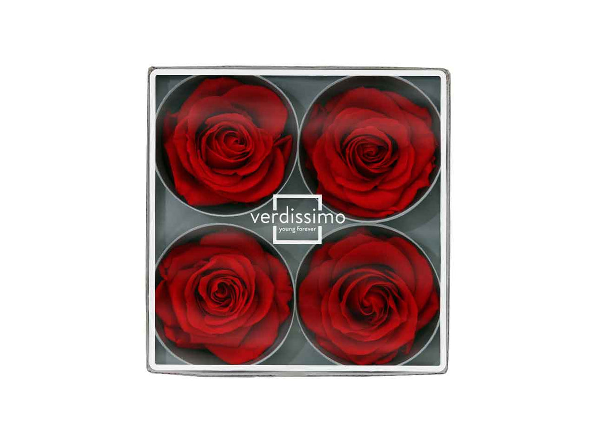 Rosa stabilizzata colore rosso misura h.8xd.8,5cm - La confezione comprende 4 rose