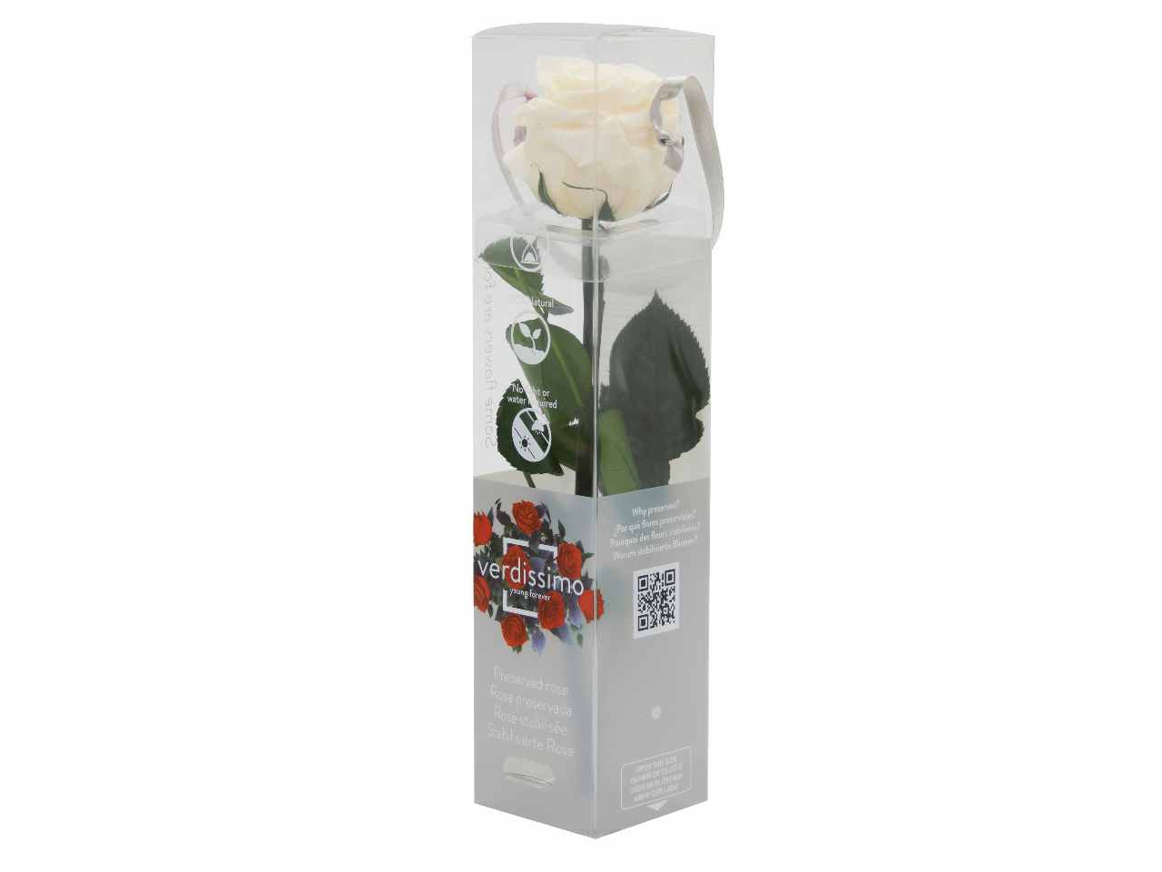 Rosa stabilizzata champagne mini c/gambo prz/2020