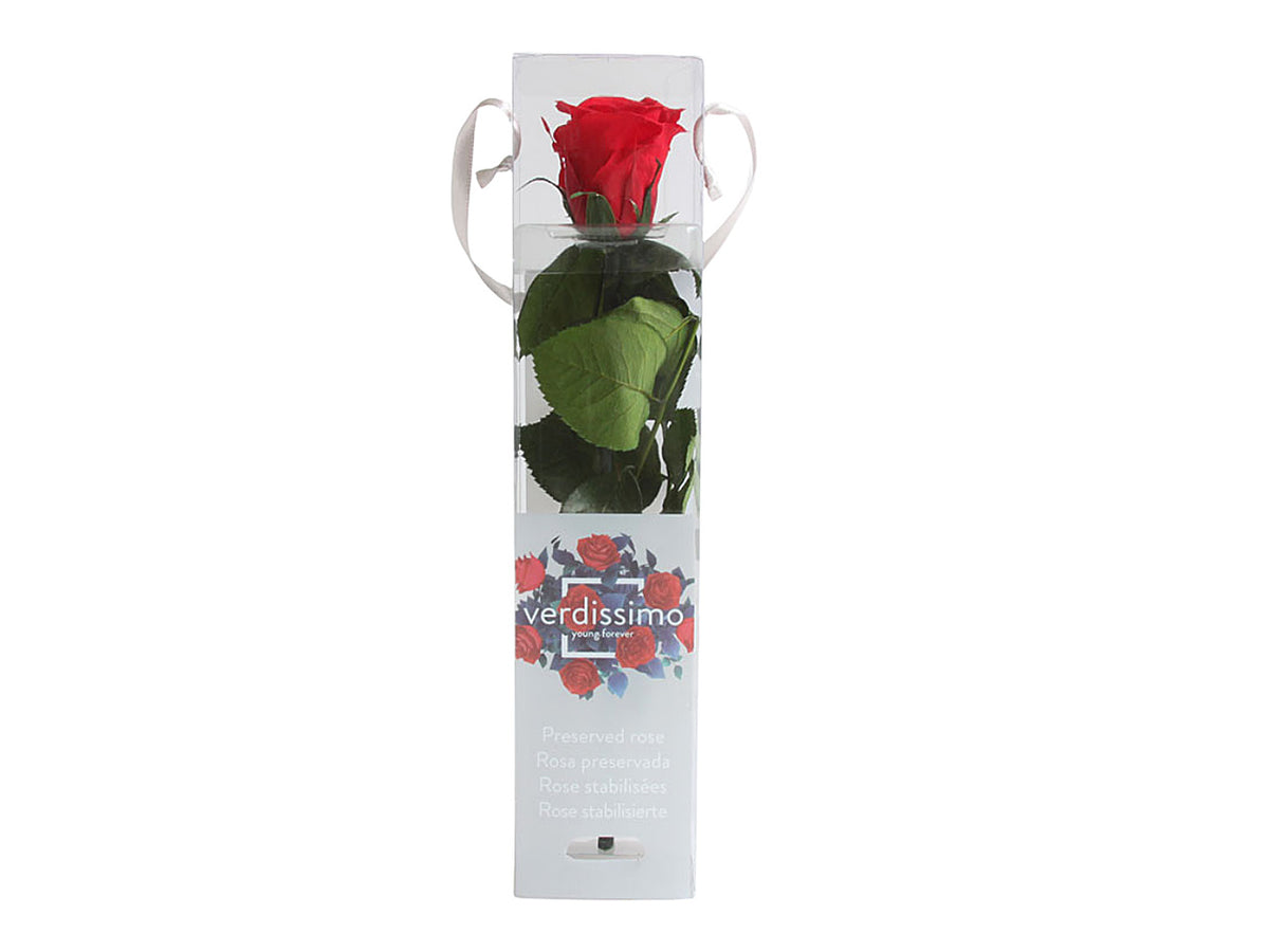 Rosa stabilizzata rossa mini c/gambo prz/2200