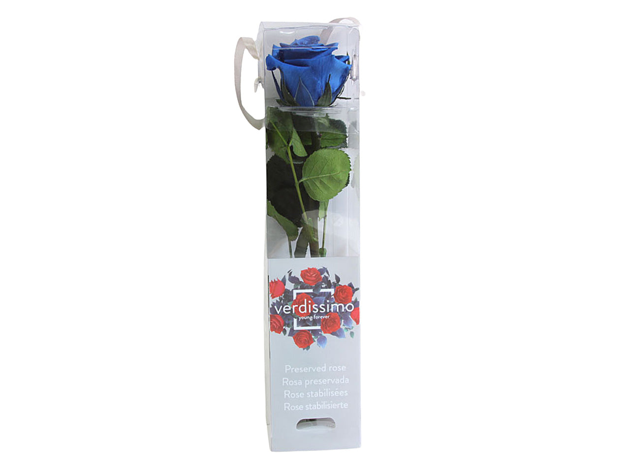 Rosa stabilizzata azzurra mini c/gambo prz/2630