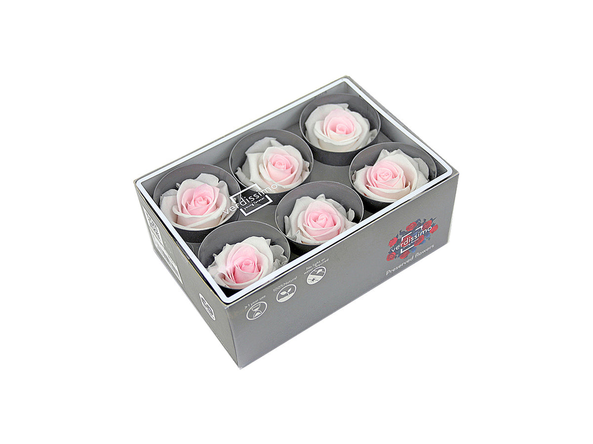 Rosa stabilizzata b.color 6 pezzi rstb/2040