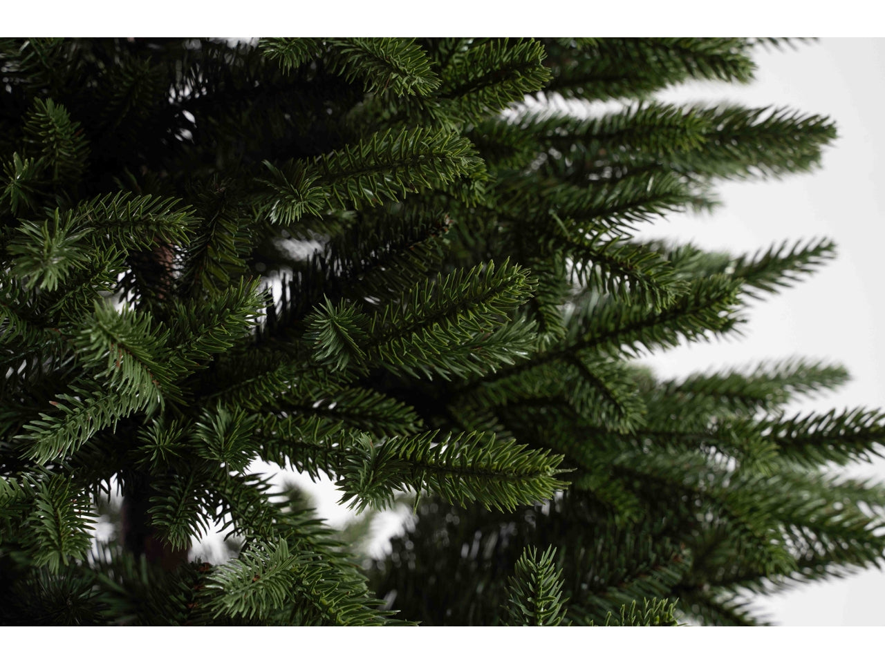 Albero cocolicchio 240cm diametro 136cm 1732 rami, montaggio ad ombrello
