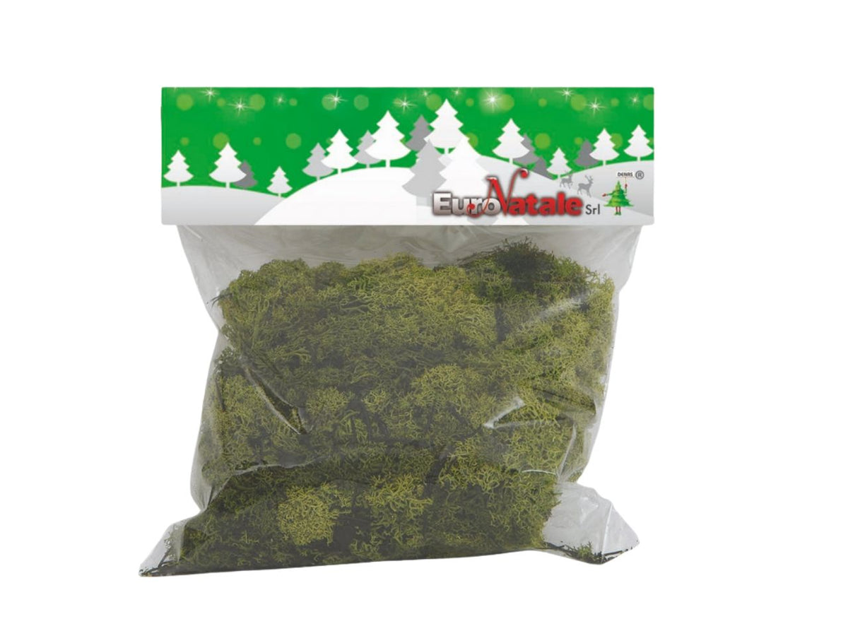 Muschio lichene verde chiaro per presepe in busta