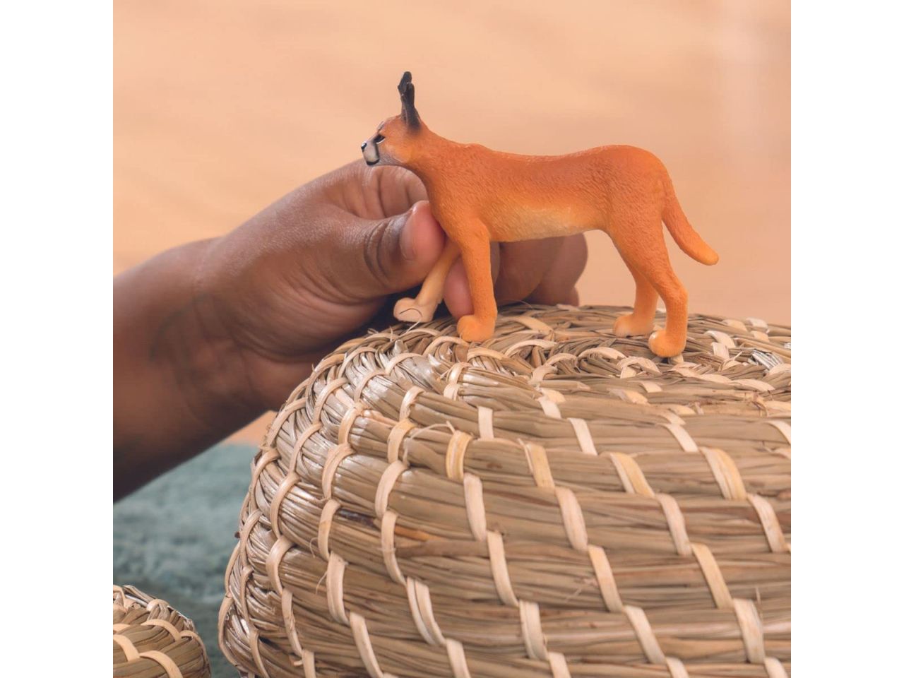 Caracal femmina