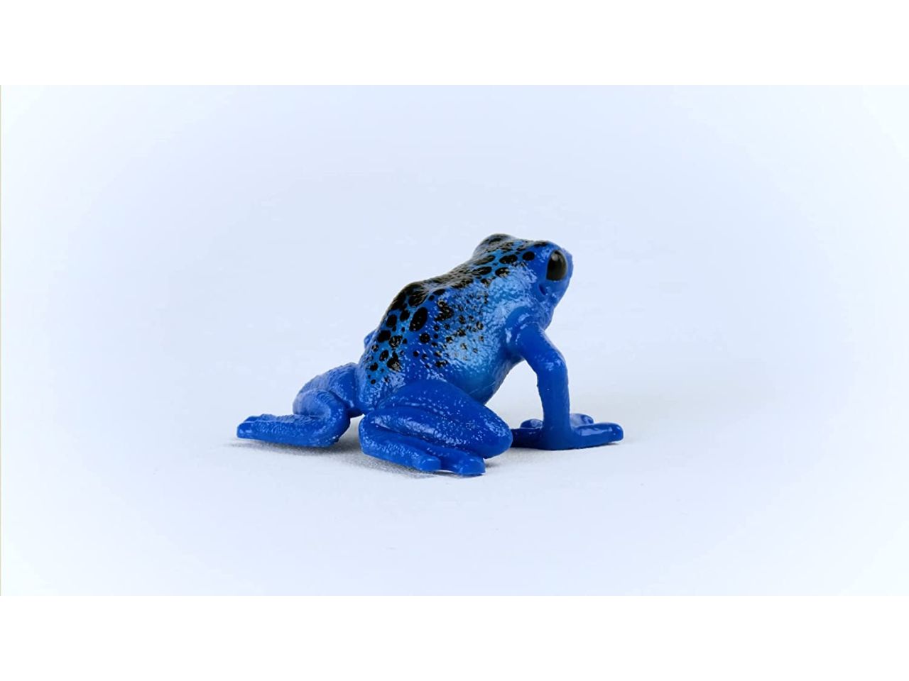 Rana freccia blu