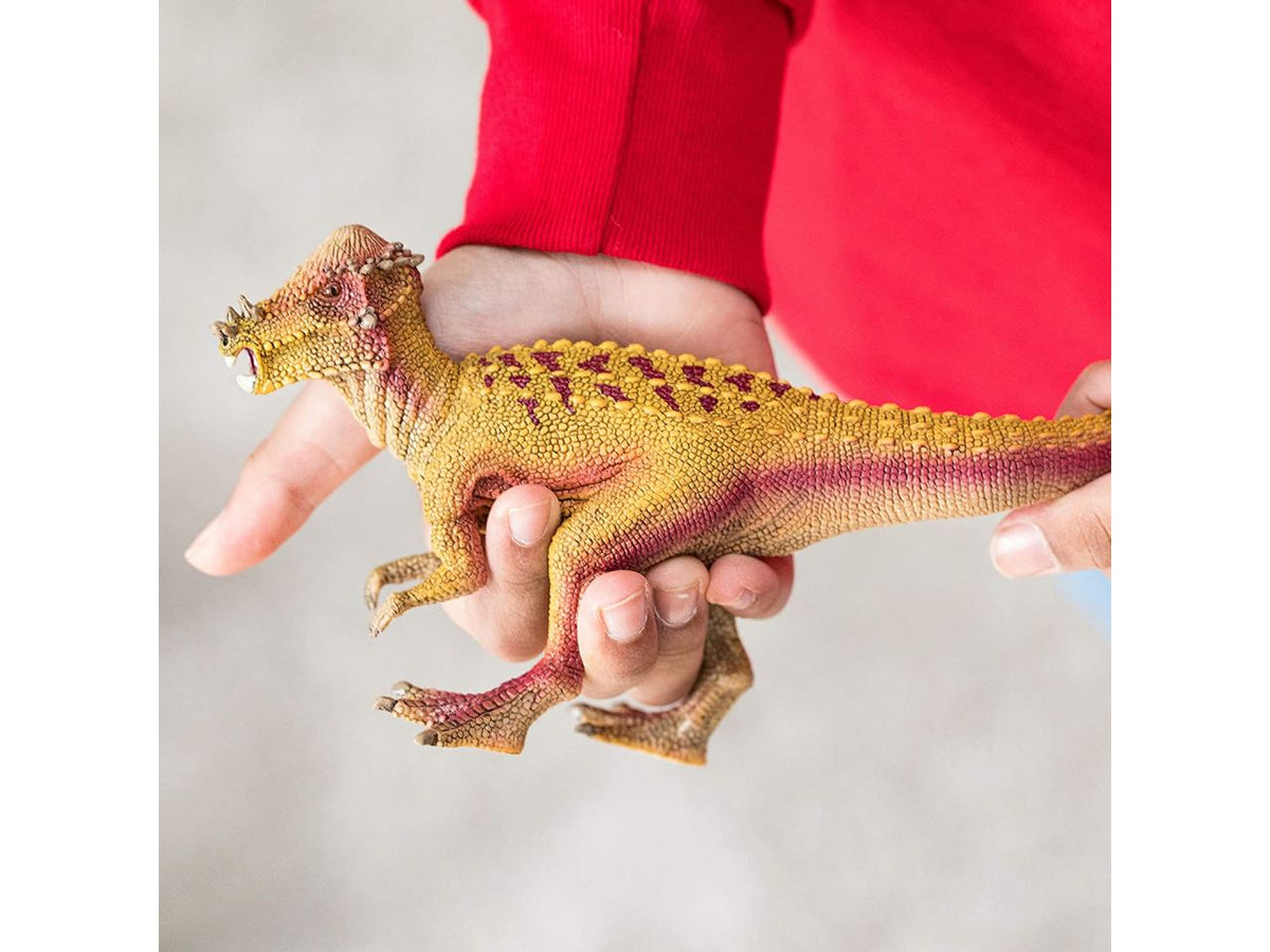 Pachycephalosaurus