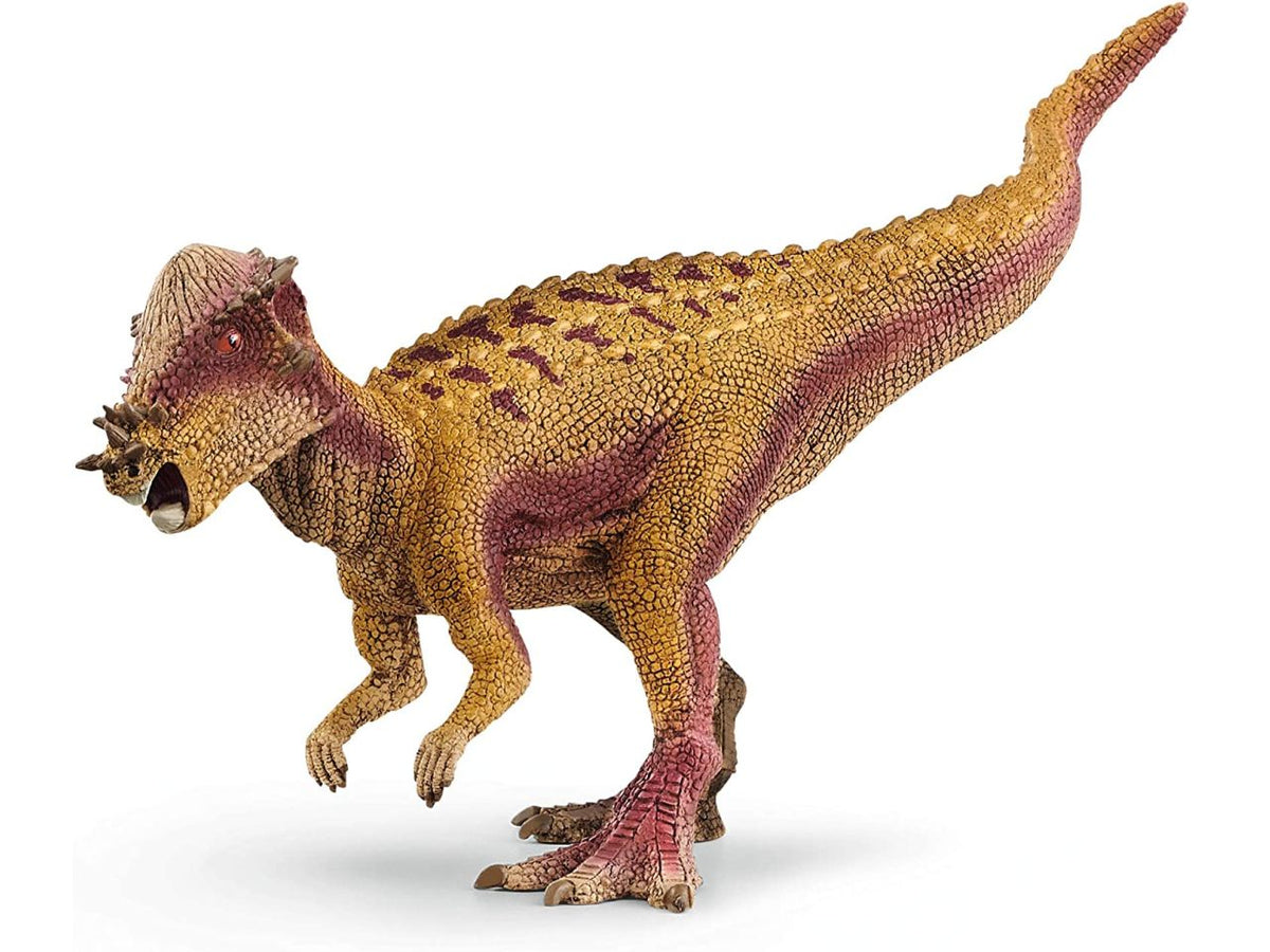 Pachycephalosaurus