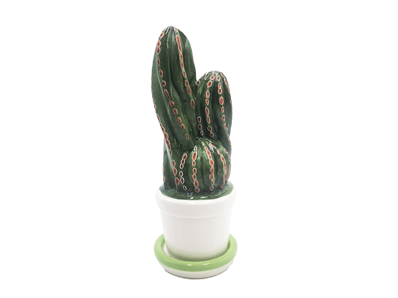Pianta cactus piccola h17,5x7