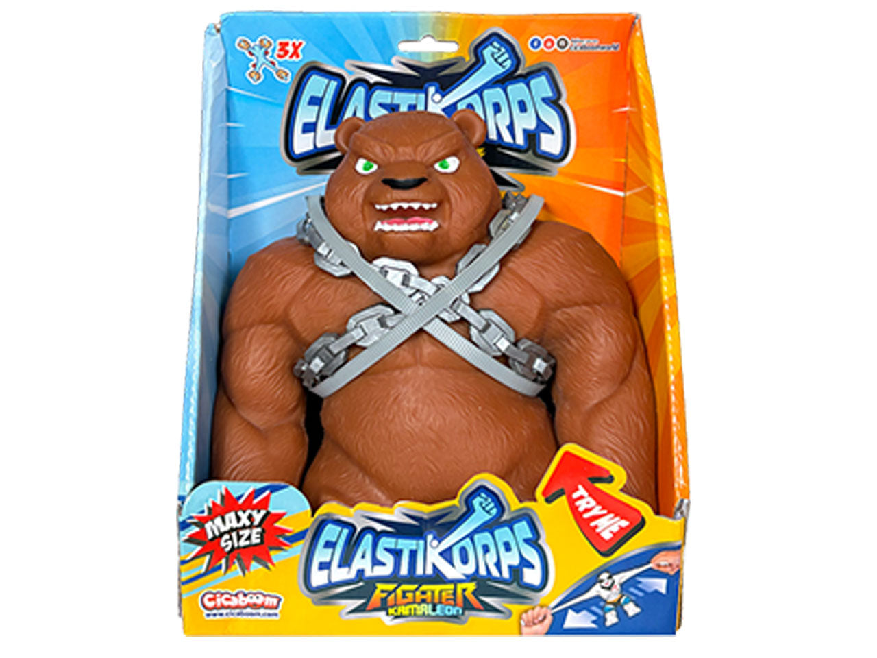 Maxi ursus $
