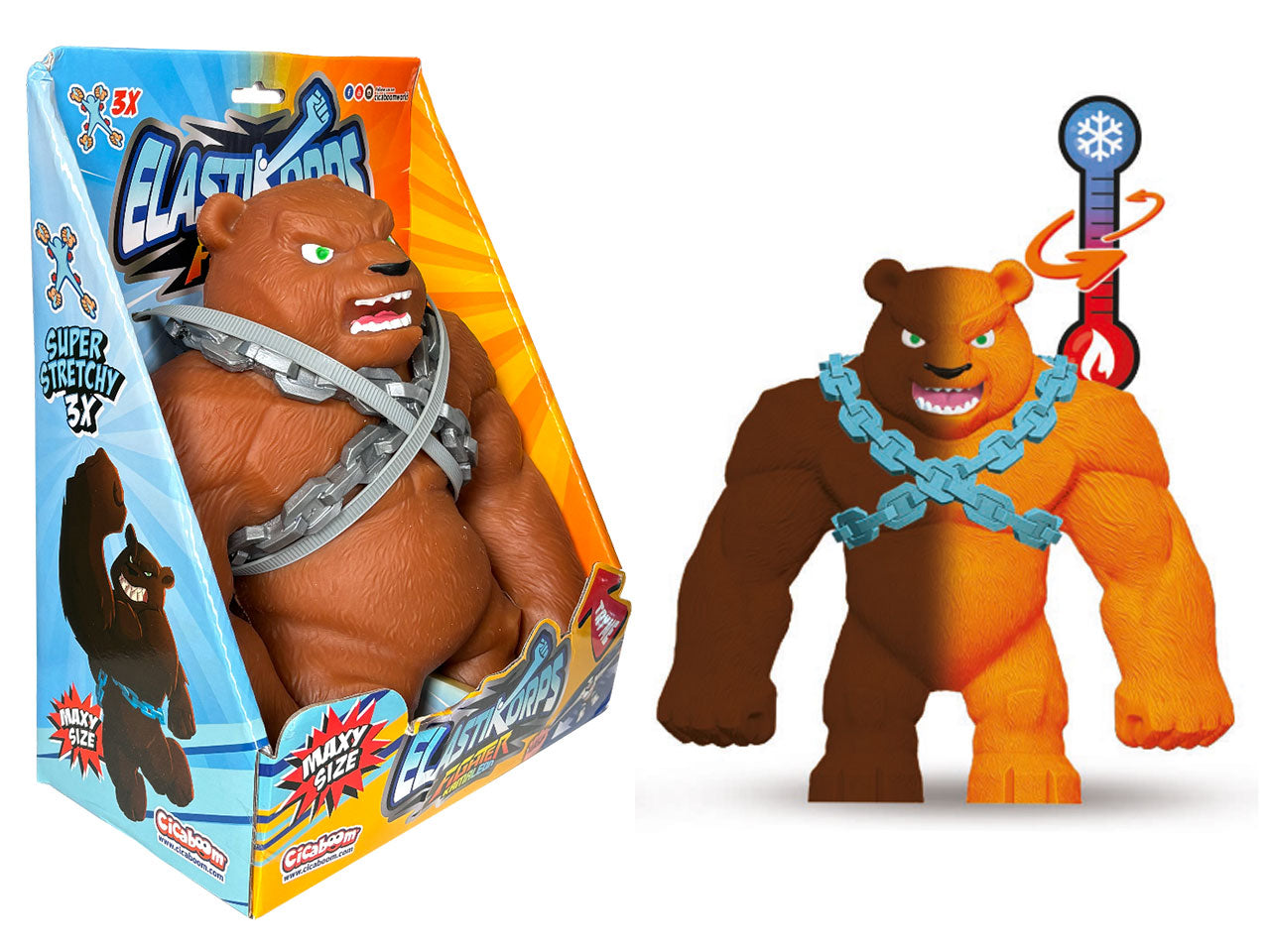 Maxi ursus $