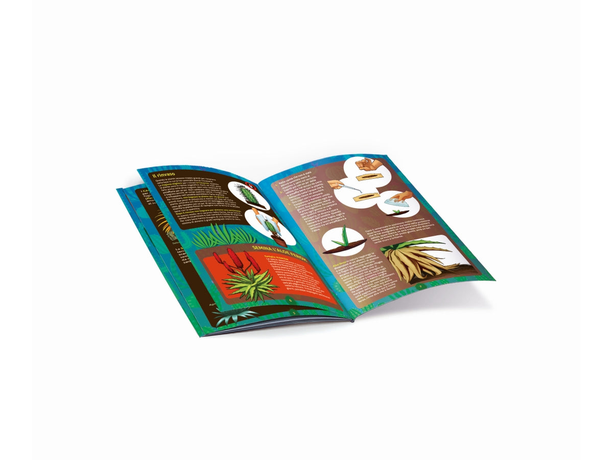 La botanica delle piante grasse
