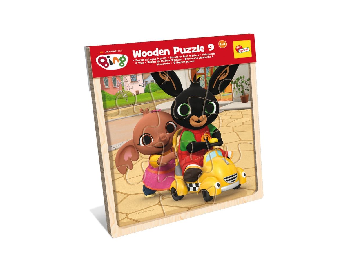 Bing wooden puzzle 9 in display 6