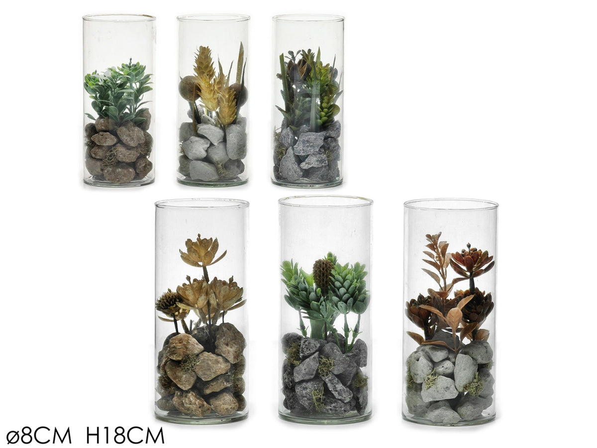 Piantina con vaso in vetro d.8xh14cm in 4 assortimenti