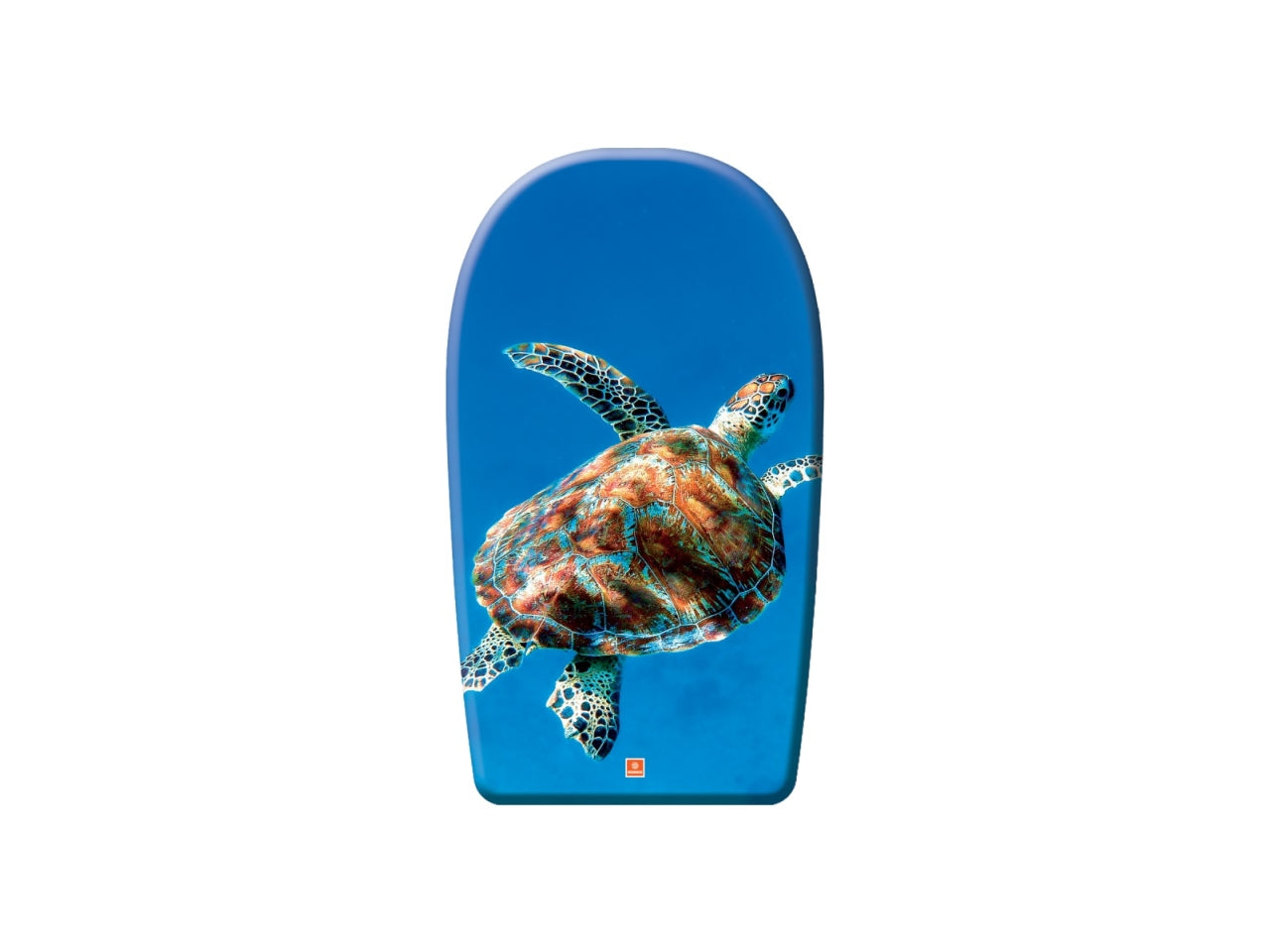 Tavola surf mondo seaside 84cm fantasie assortite