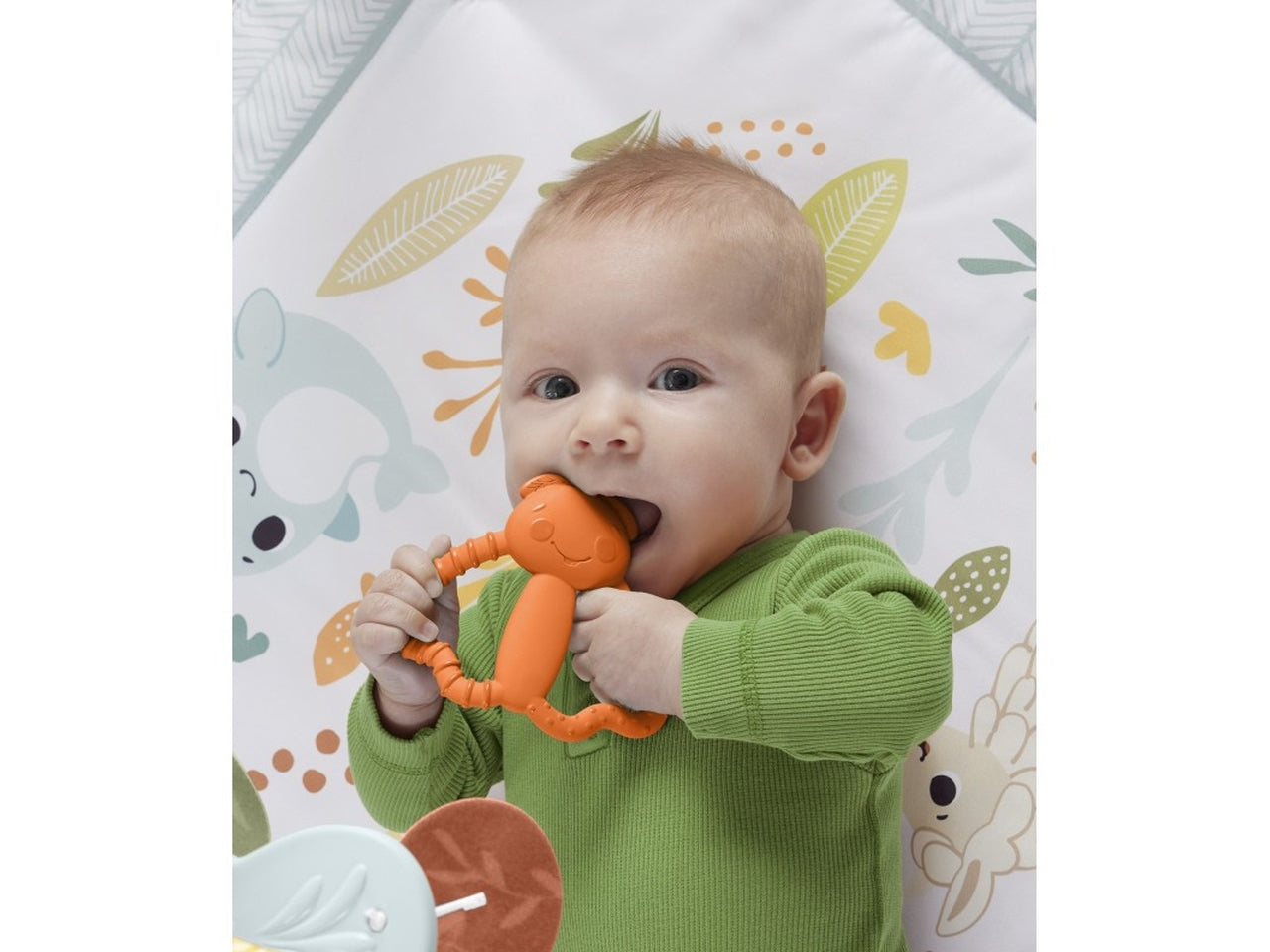 Fisher price dentaruoli multicolor assortiti