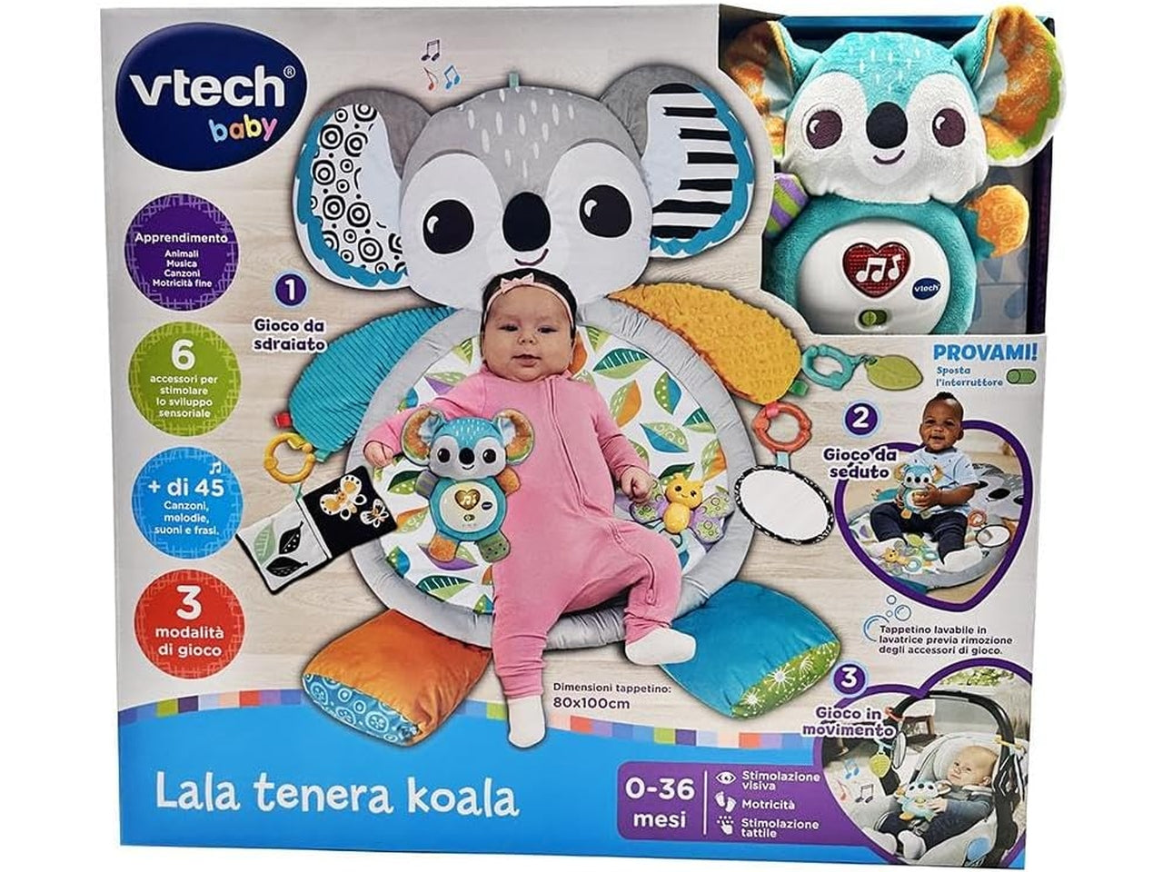 Lala tenera koala