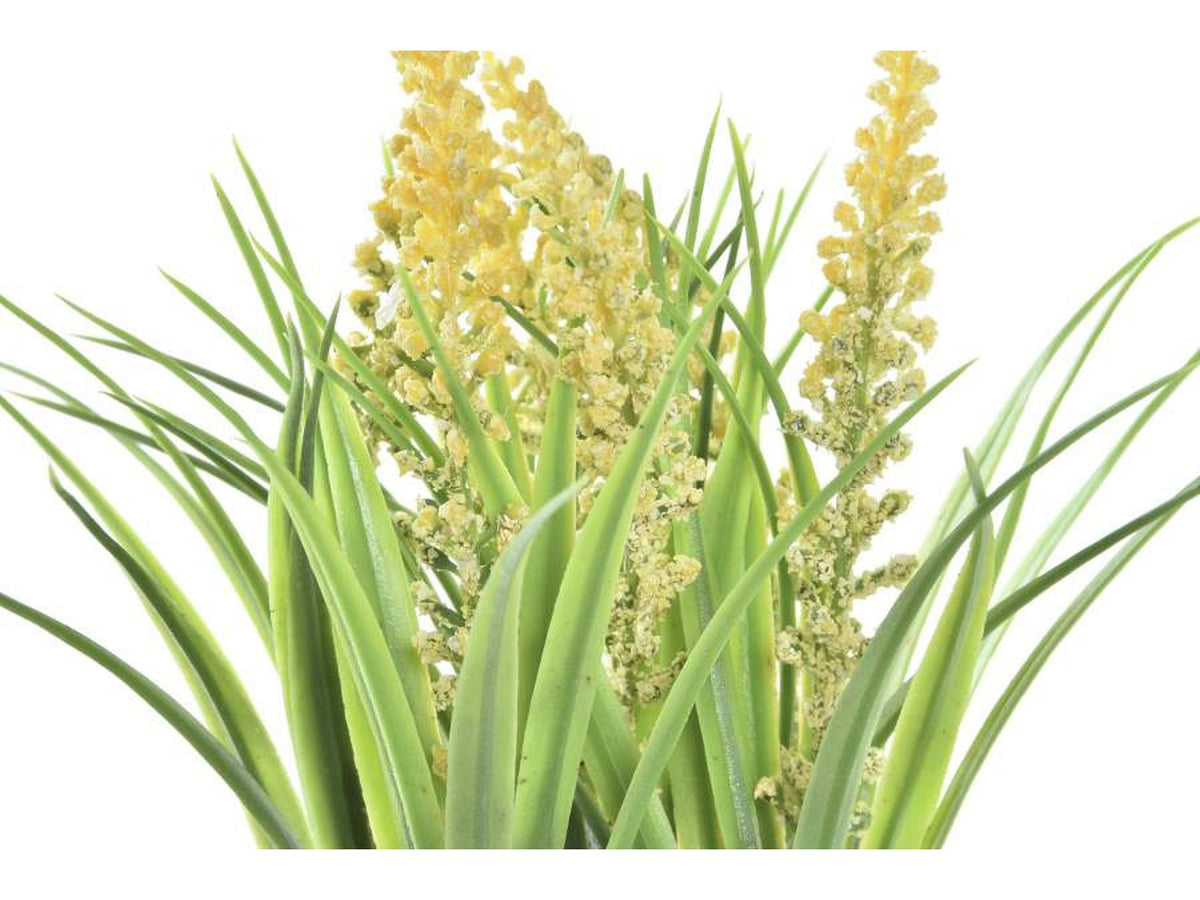Pianta poliestere 9x9x21cm in 2 modelli assortiti