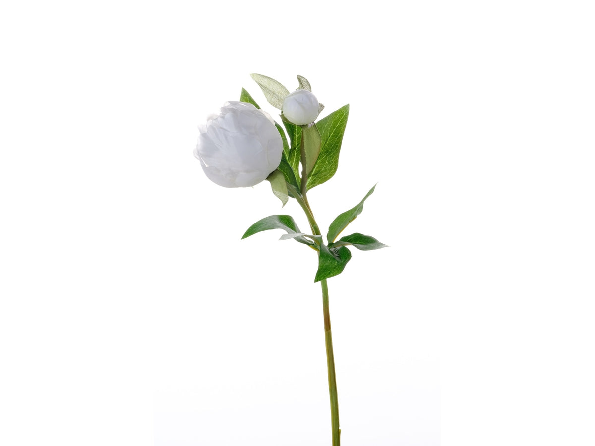 Mini peonia con bocciolo avorio