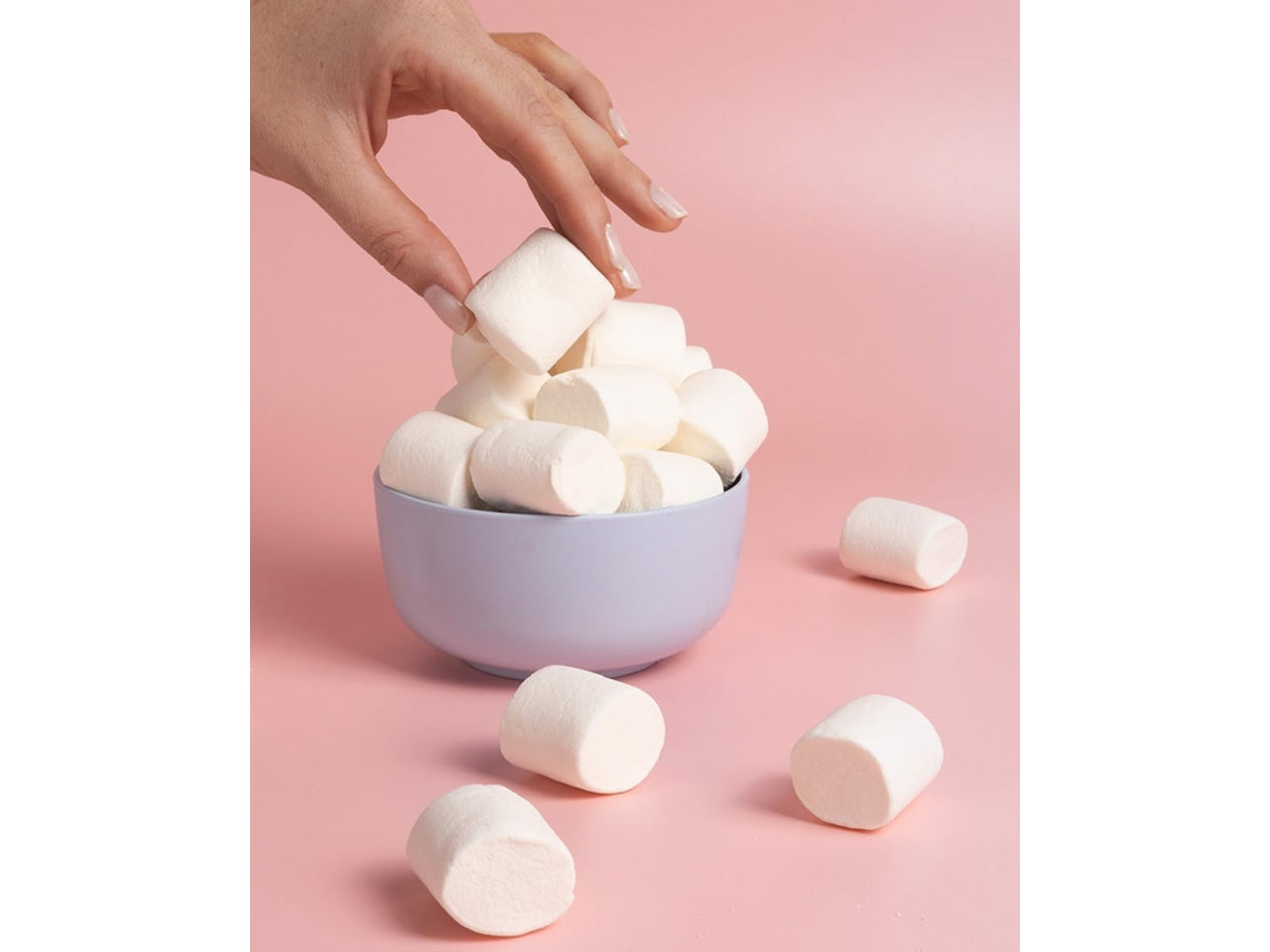 Flaming mallow busta 1kg