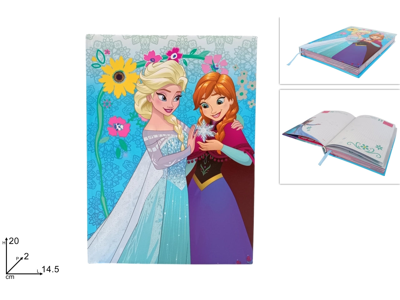 Diario scuola frozen 10 mesi