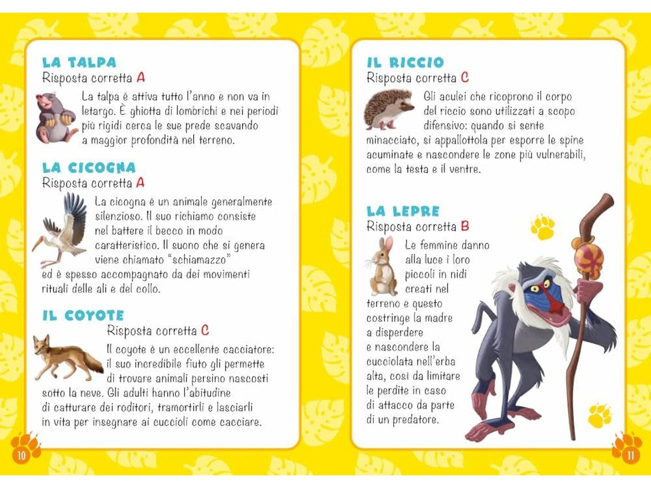 Le carte degli animali quiz in famiglia