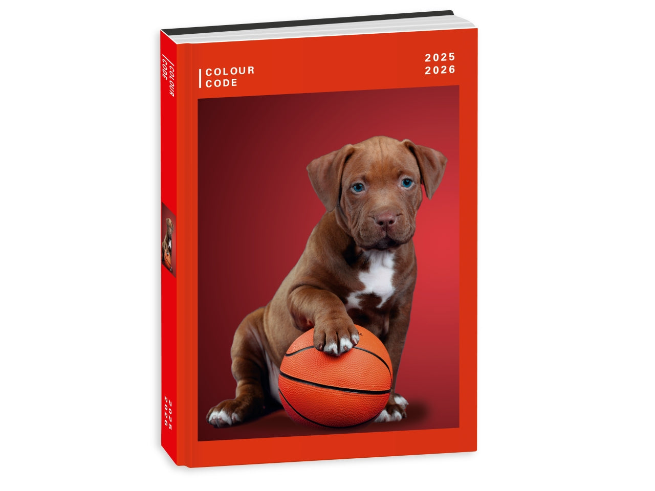 Diario 10m datato colour code animal snapshot