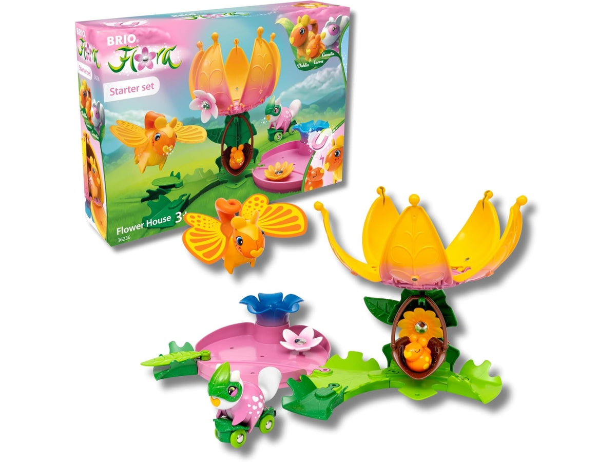 Gioco Flora la casa in fiore