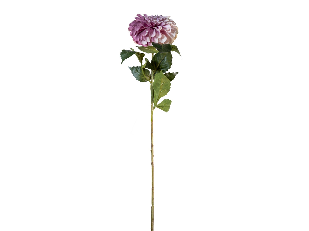 Ramo zinnia autunnale 70cm mauve