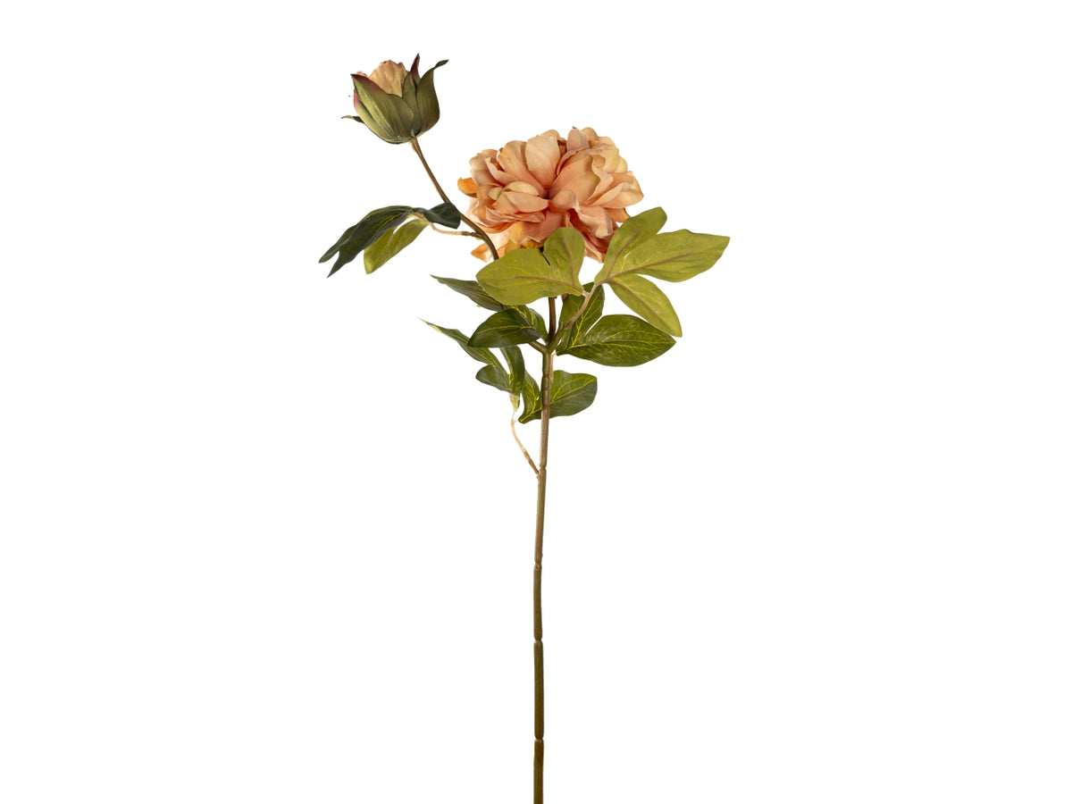 Ramo peonia 65cm fiore con bocciolo pesca$
