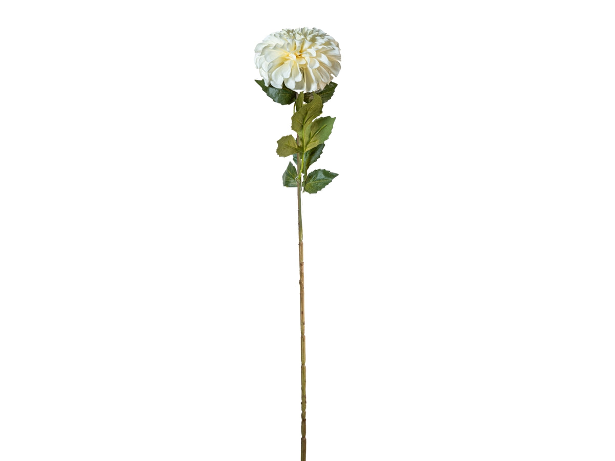 Ramo zinnia autunnale 70cm avorio