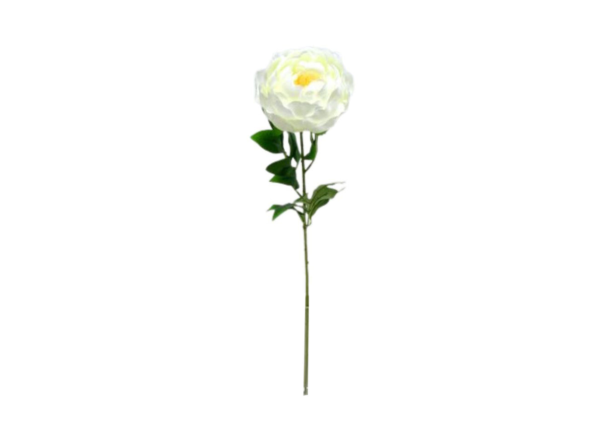 Single peony spray colore 05