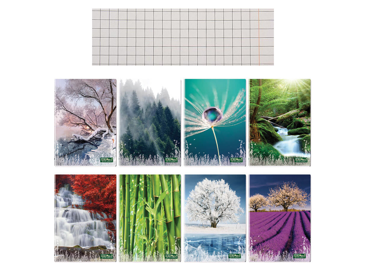 Quaderno maxi Quadecò 20+1fogli 80gr Q con margine in confezione da 10 pezzi